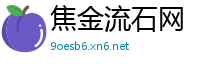 焦金流石网